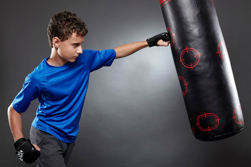 Best Kids Punching Bags (Updated [year])