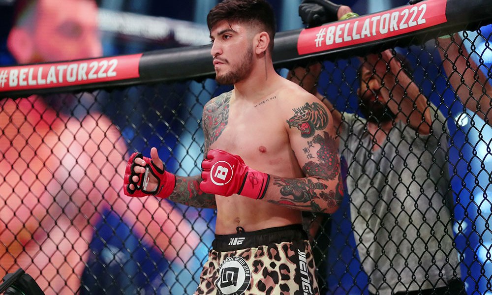Dillon Danis Scam Exposed - MMA Star promotes fake NFTs