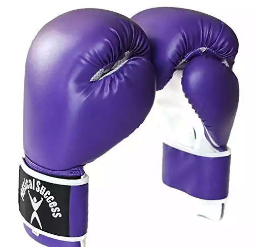 Physical Success Purple Boxing Gloves 12oz