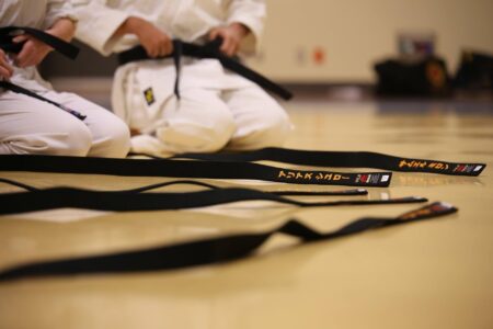 Karate vs Taekwondo – Who wins?