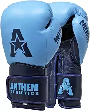 Anthem Athletics STORMBRINGER II Leather Boxing Gloves - Muay Thai, Kickboxing, Striking