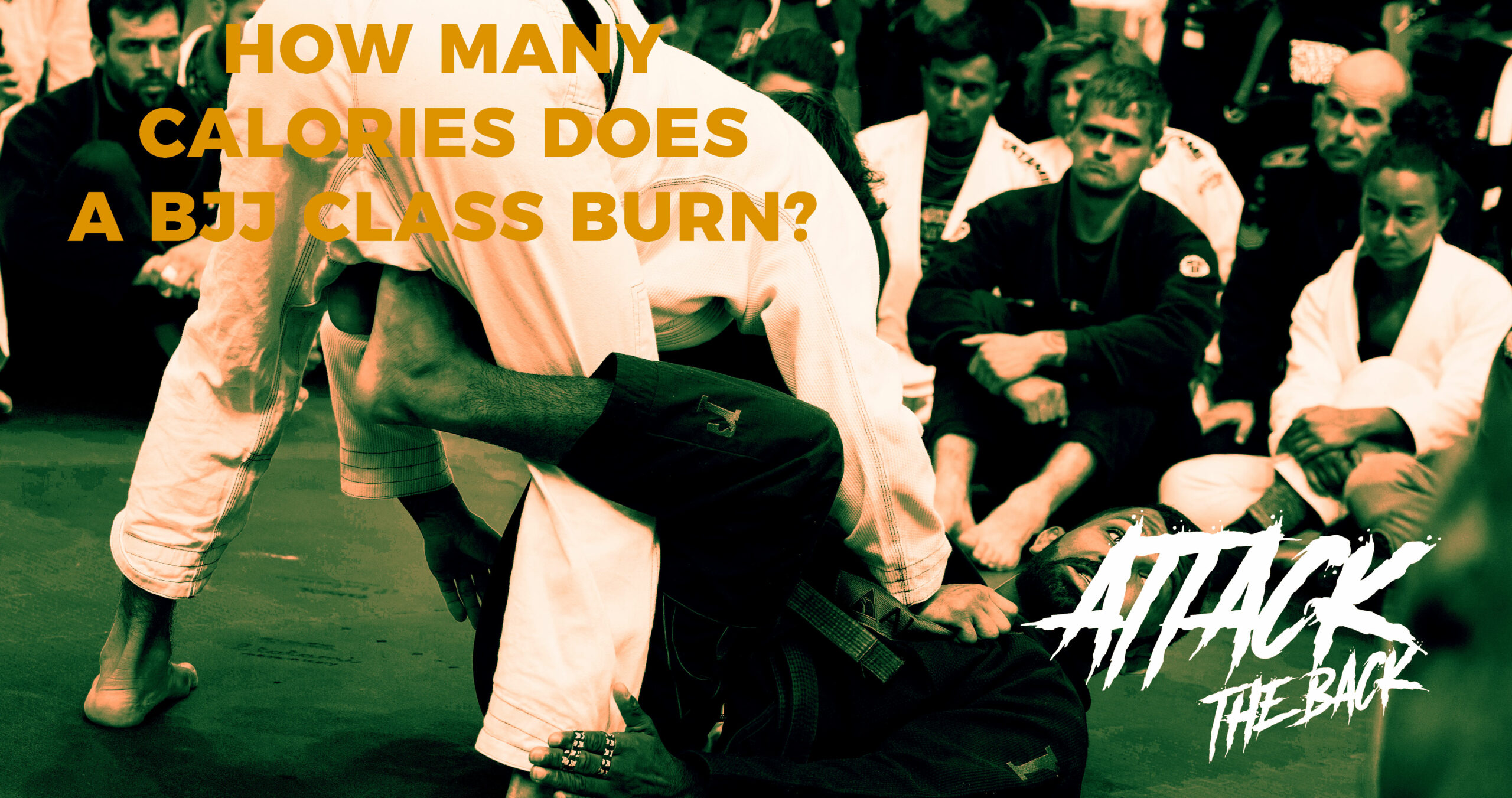How Many Calories Are Burned in a BJJ Class: A Comprehensive Exploration